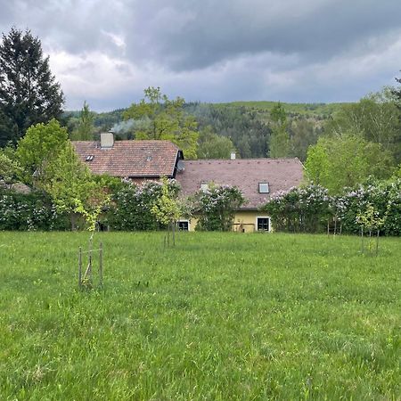 Bed&Breakfast Im Gruenen Nah An Wien Brettwies エクステリア 写真