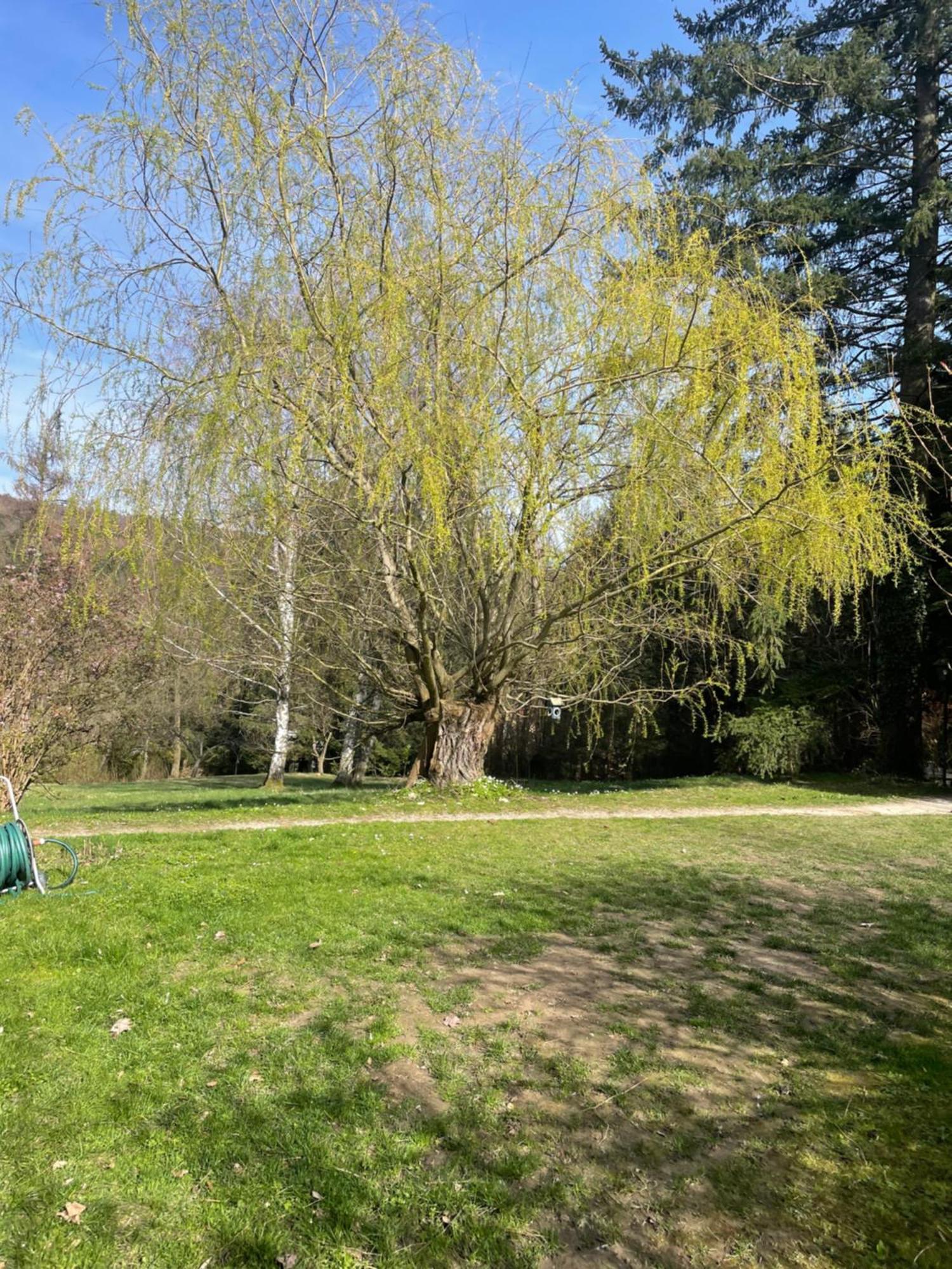 Bed&Breakfast Im Gruenen Nah An Wien Brettwies エクステリア 写真